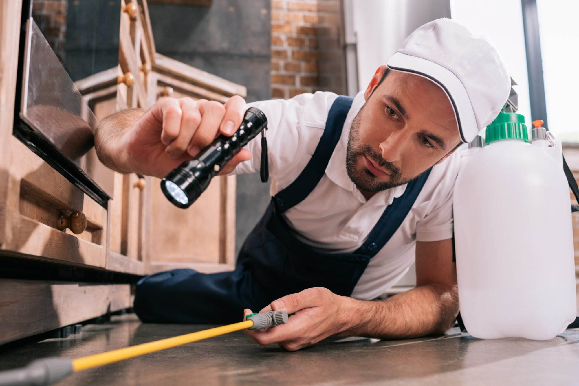 Building Inspections in Melbourne and Geelong